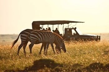 Elephant Pepper Camp Maasai Mara Eksteriør bilde
