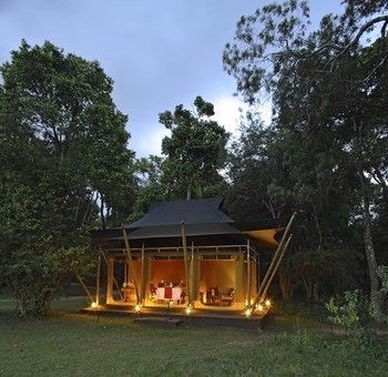 Elephant Pepper Camp Maasai Mara Eksteriør bilde