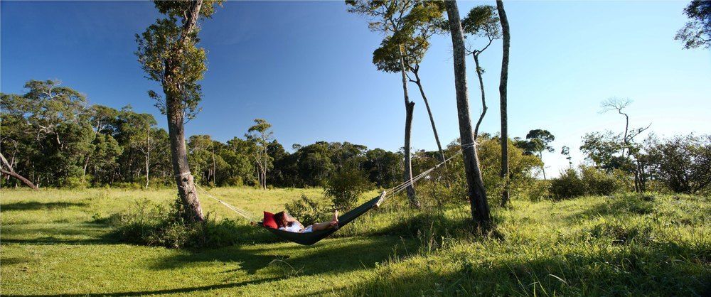 Elephant Pepper Camp Maasai Mara Eksteriør bilde