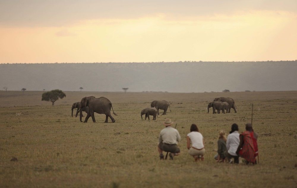 Elephant Pepper Camp Maasai Mara Eksteriør bilde