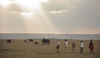 Elephant Pepper Camp Maasai Mara Eksteriør bilde